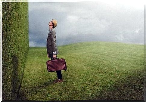 Man standing in front of a wall of bushes