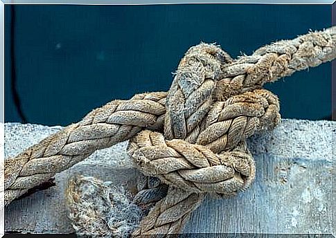 Knot in the ship's traffic jam