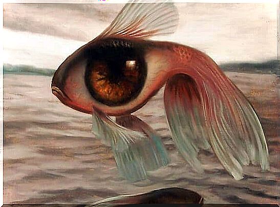 A fish-shaped eye - How humans adapt to their environment