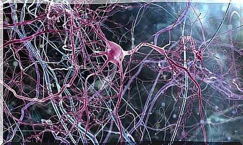 Pink neurons