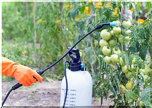 The use of pesticides in agriculture is widespread. 