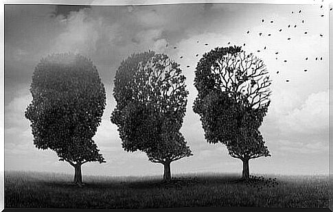 Trees in the shape of heads