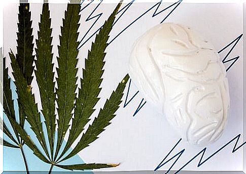 The use of cannabis: myths and truths