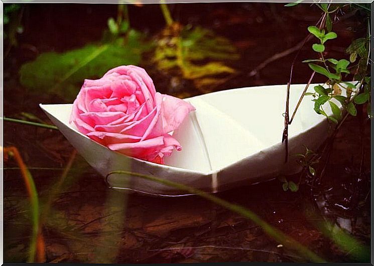 rose-in-paper-boat