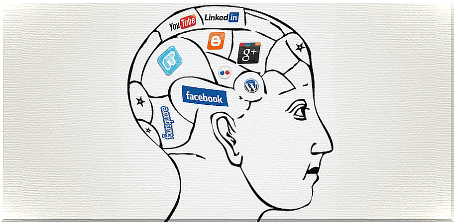 Brain full of various social networks