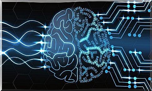 The Brain as a Computer: Mechanistic Determinism or Free Will?