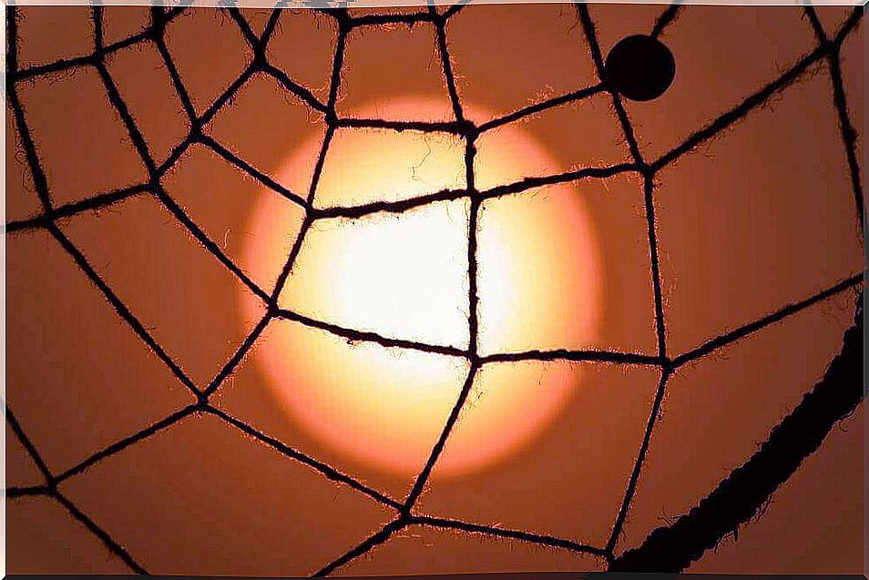 Fishing net in front of the red sun