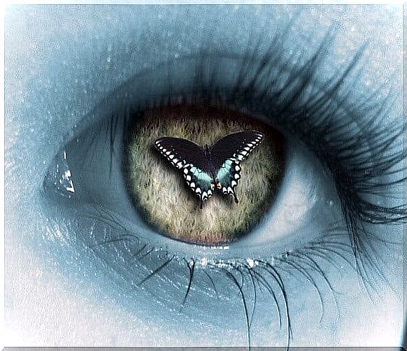 Butterfly in eye